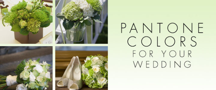 2017 Pantone Colors for Spring pantone colors
